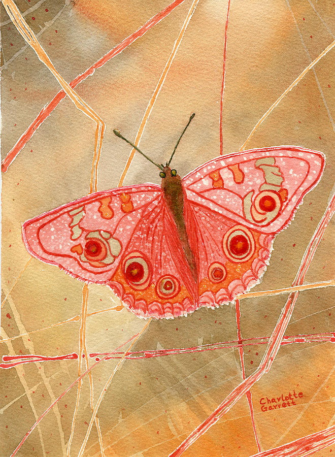 Survival Butterfly by Charlotte Garrett Survival Butterfly by Charlotte Garrett