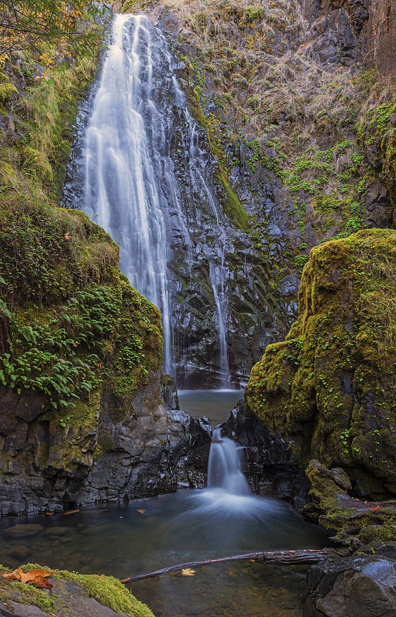 Susan Creek Falls in Fall Photograph by Loree Johnson