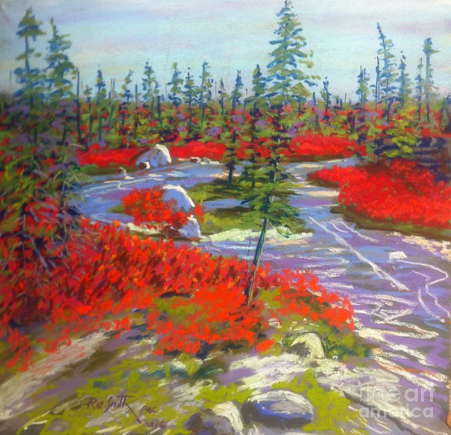 Susie Lake Barrens Pastel by Rae  Smith