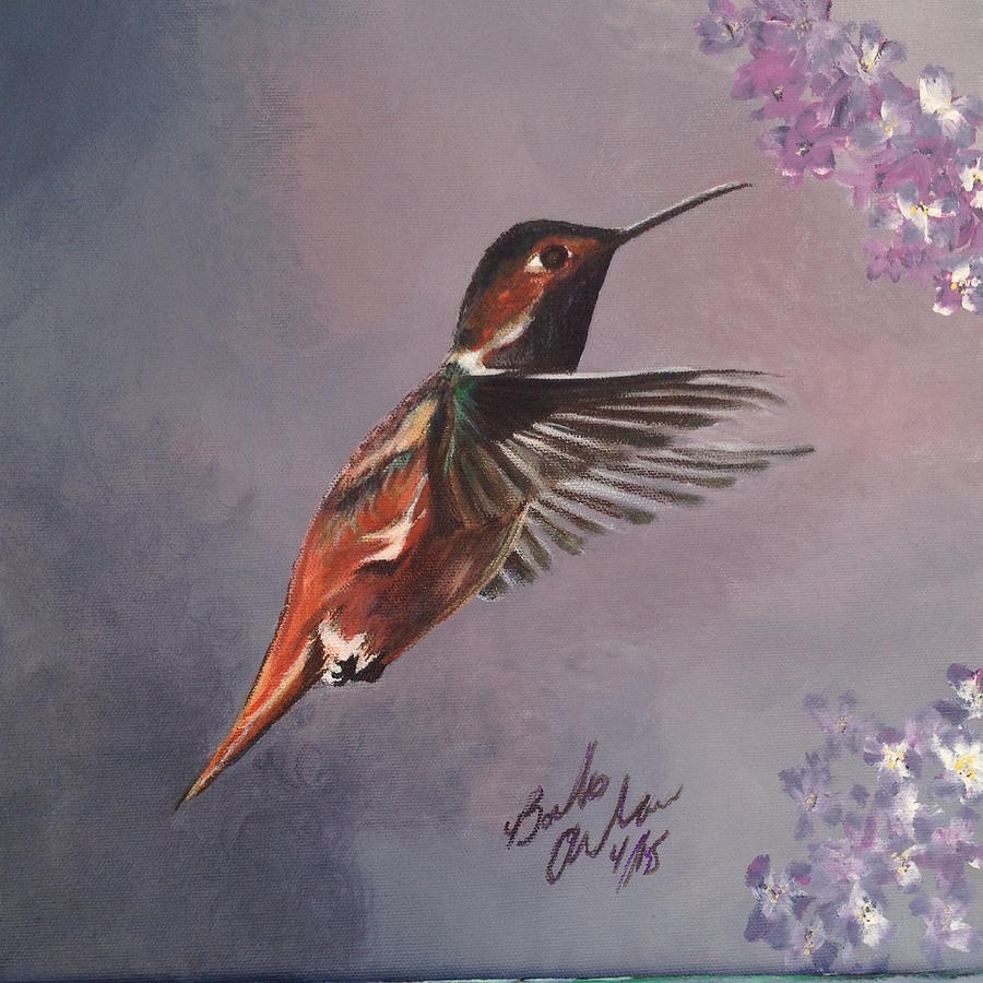 Susie The hummingbird Painting by Barbara Andrews