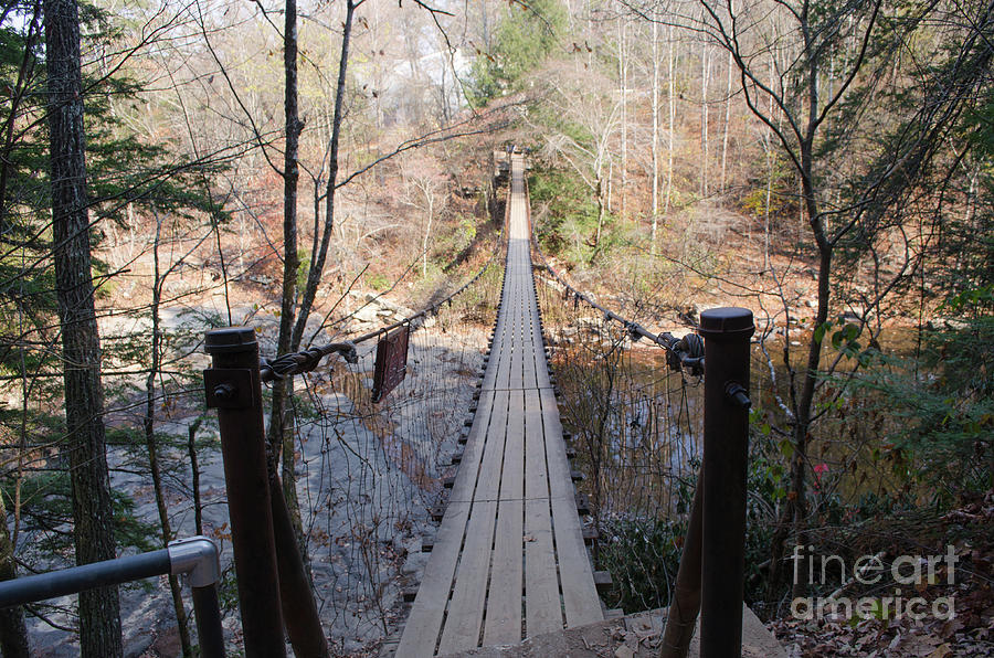 Suspension Bridge At Fall Creek Falls State Park Photograph by Donna Brown