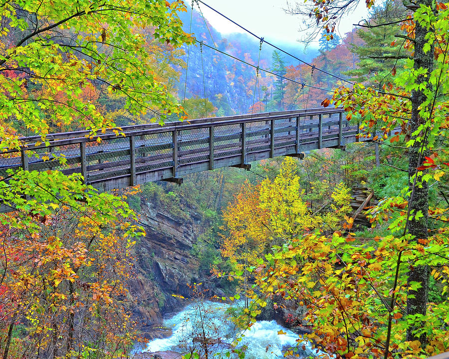Fall Photograph - Suspension Bridge at Tallulah Gorge by Susan Leggett