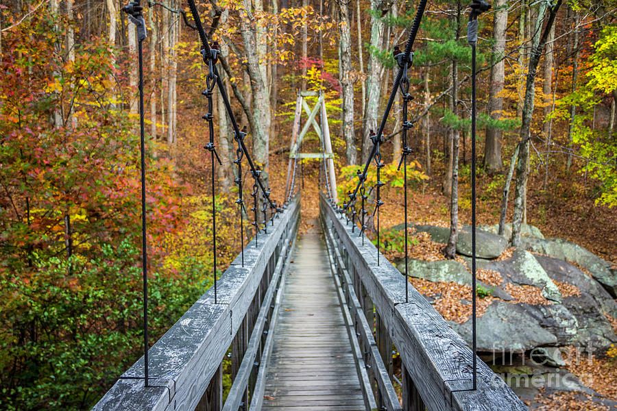 Suspension Bridge Blue Ridge Mountains II Photograph by Karen Jorstad