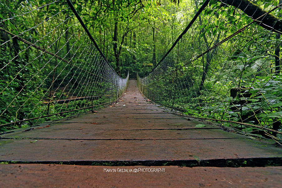 Nature Pyrography - Suspension Bridge by Guate Passport