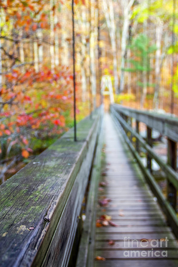 Suspension Bridge in Autumn Photograph by Karen Jorstad