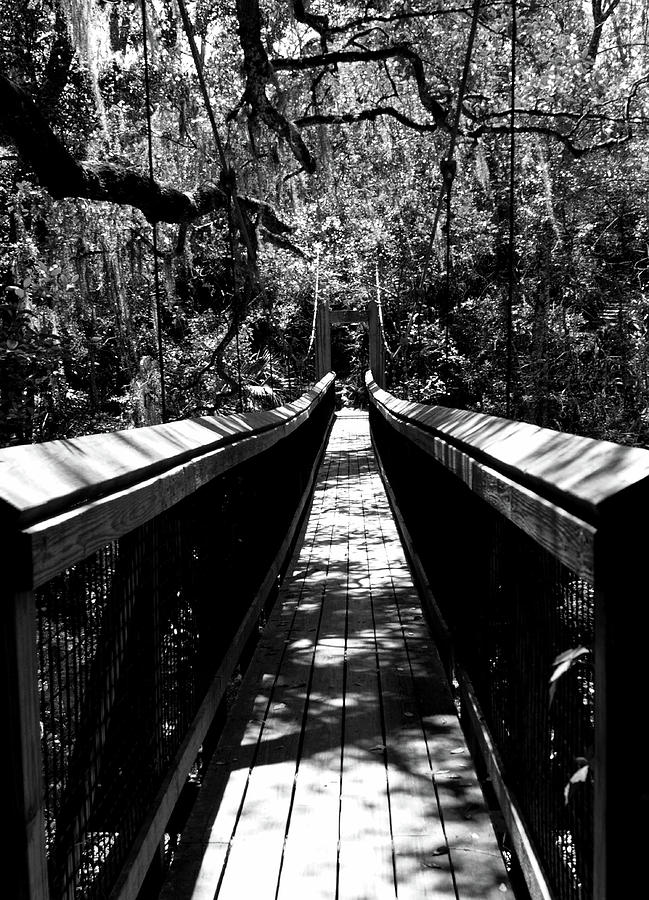 Suspension Bridge in Black and White Photograph by Bob Johnson