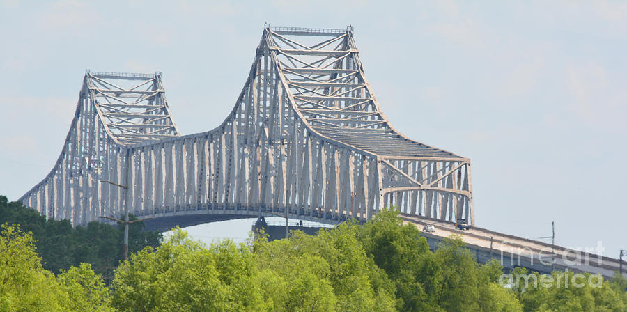 Suspension Bridge In Louisiana Photo B Photograph