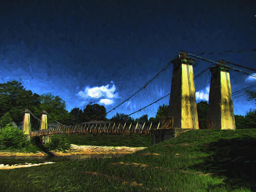 Suspension Bridge Photograph by John Freidenberg