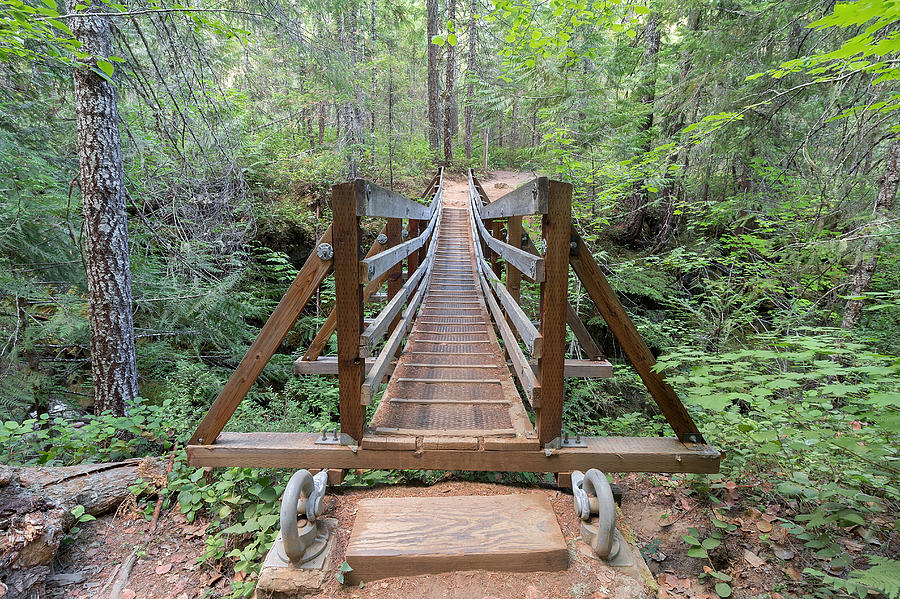 Suspension Bridge Over Falls Creek Front View Photograph by Jit Lim