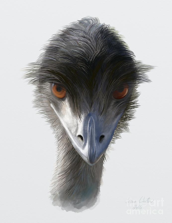 Suspicious Emu Stare Painting by Ivana Westin