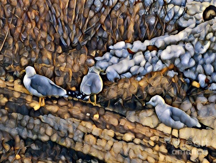 Susquehanna Seagulls  Digital Art by Breena Briggeman