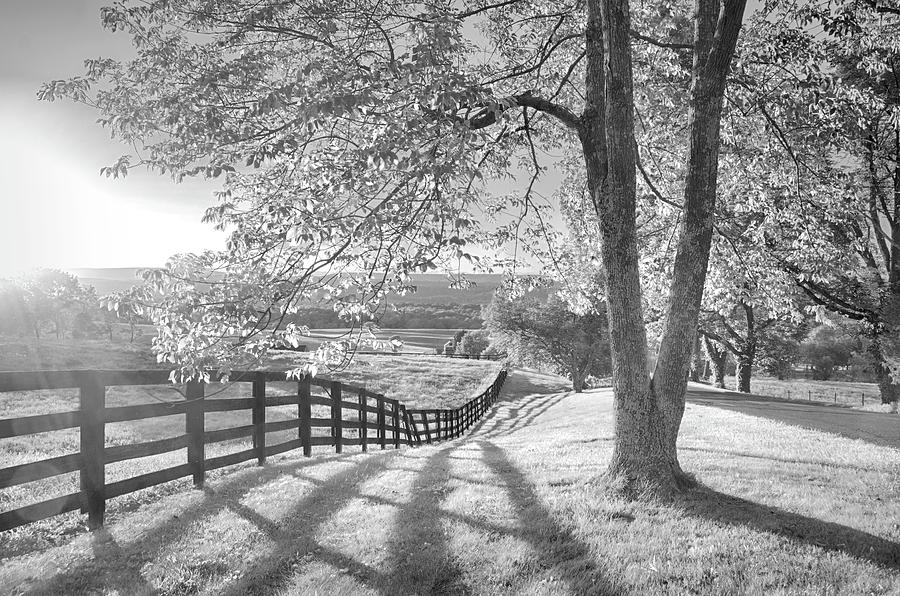 Sussex County Sunset in Black and White Photograph by Eleanor Bortnick