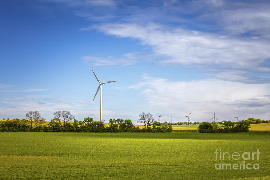 Nature Photograph - Sustainable energy. Danish landscape with windmills and green fi by Anna Soelberg