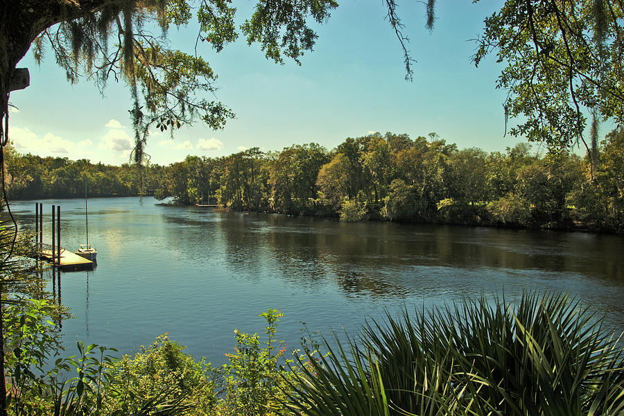 Suwannee River Florida Photograph by Wayne Denmark