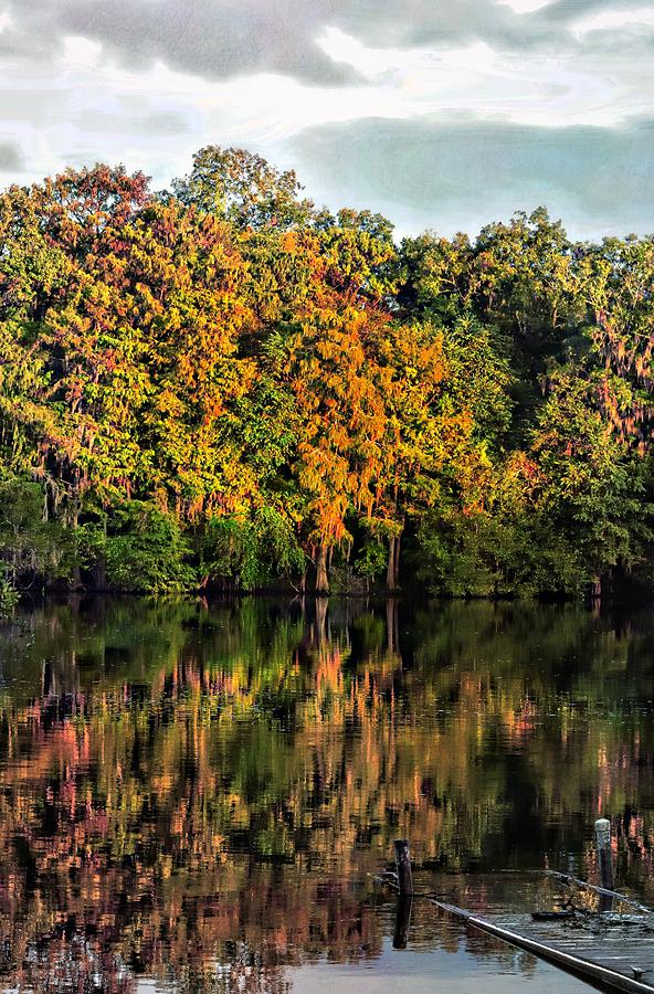 Suwannee River October Photograph by Sheri McLeroy - Fine Art America