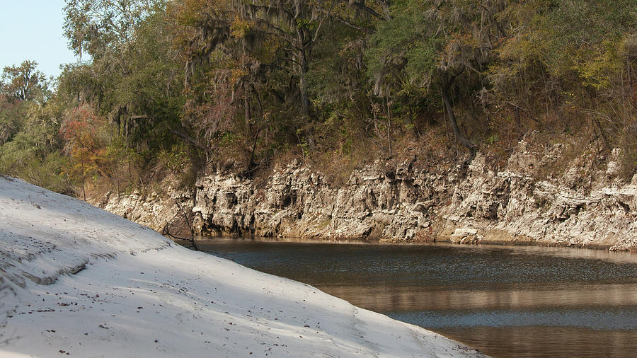 Suwannee River Sand Water And Rock Photograph