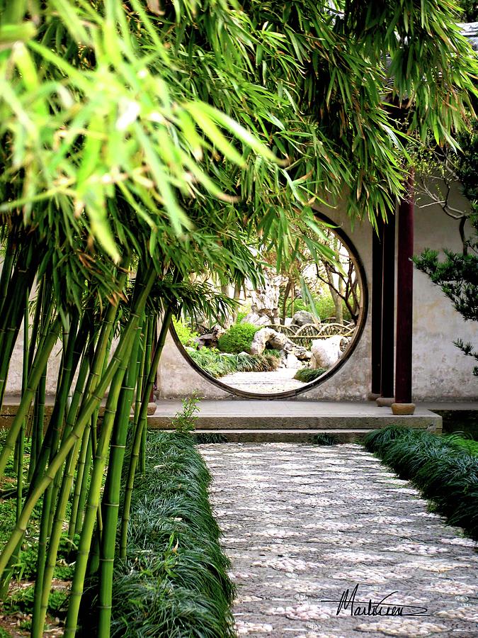 Suzhou Bamboo Gardens Photograph by Marti Green