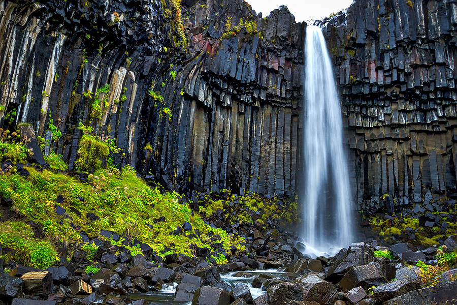 Svartifoss Waterfall - Iceland Photograph by Stuart Litoff