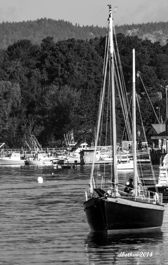 SW Harbor in Black and White Photograph by Dick Botkin
