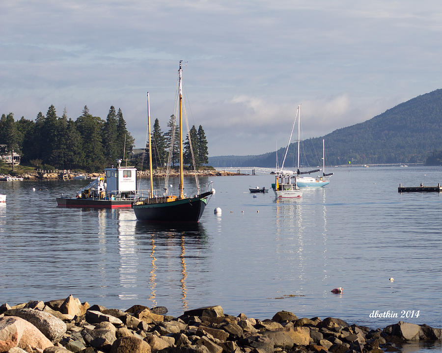 Portland Photograph - SW Harbor Quiet Cove by Dick Botkin