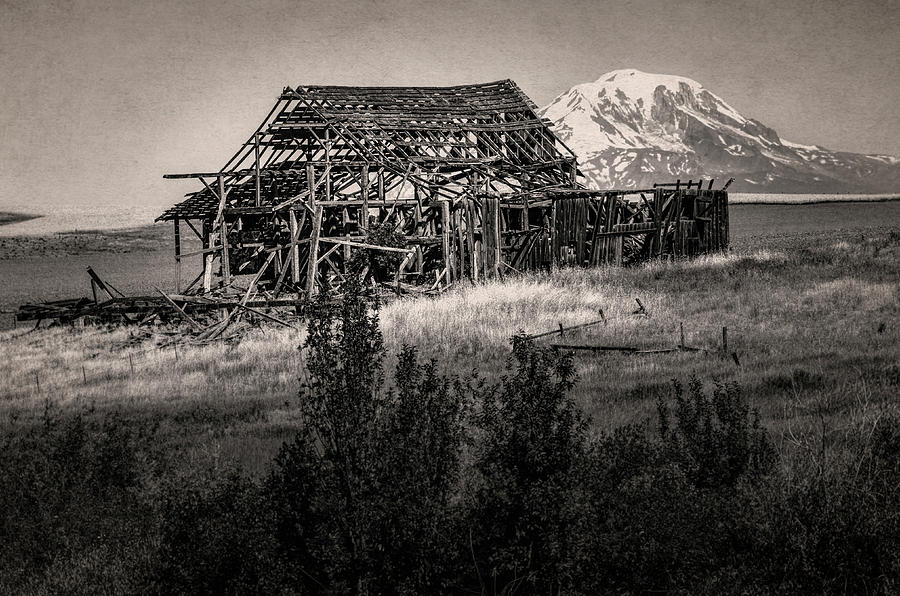 Swale Creek Barn and Mt Adams Photograph by John Trax