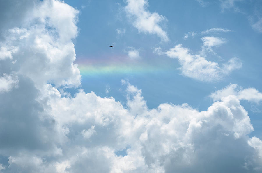 Swallow over the rainbow Photograph by Juan David Hurtado G - Fine Art ...