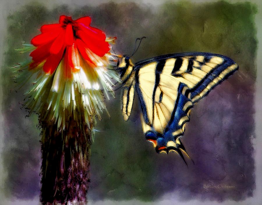 Swallow Tail Paintography Painting by Barbara Chichester