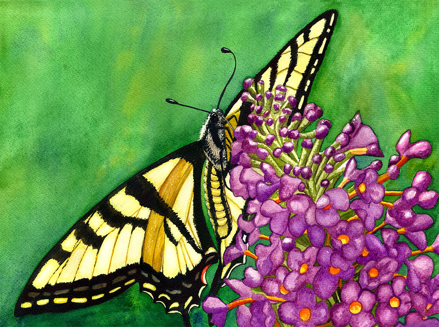 Swallowtail 1 Painting by Catherine G McElroy