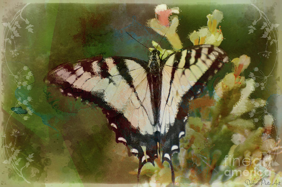 Tiger Swallowtail Butterfly 1 Photograph by Debbie Portwood