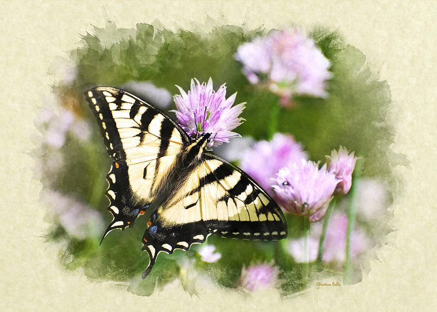 Swallowtail Butterfly Note Card Mixed Media by Christina Rollo
