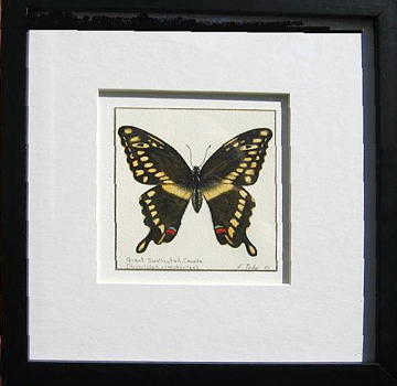 Swallowtail butterfly Painting by Elizabeth H Tudor - Fine Art America