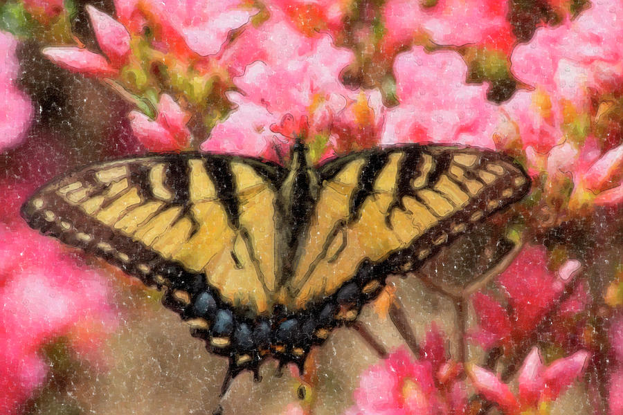 Swallowtail Butterfly Painting Digital Art by Jill Lang