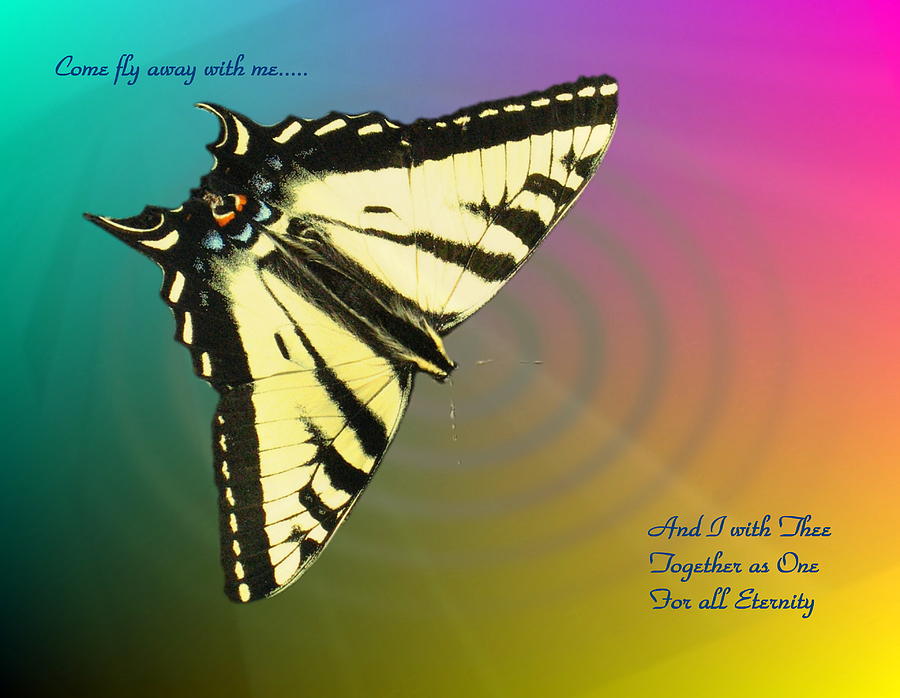 Swallowtail - Come Fly Away With Me Photograph by Joyce Dickens