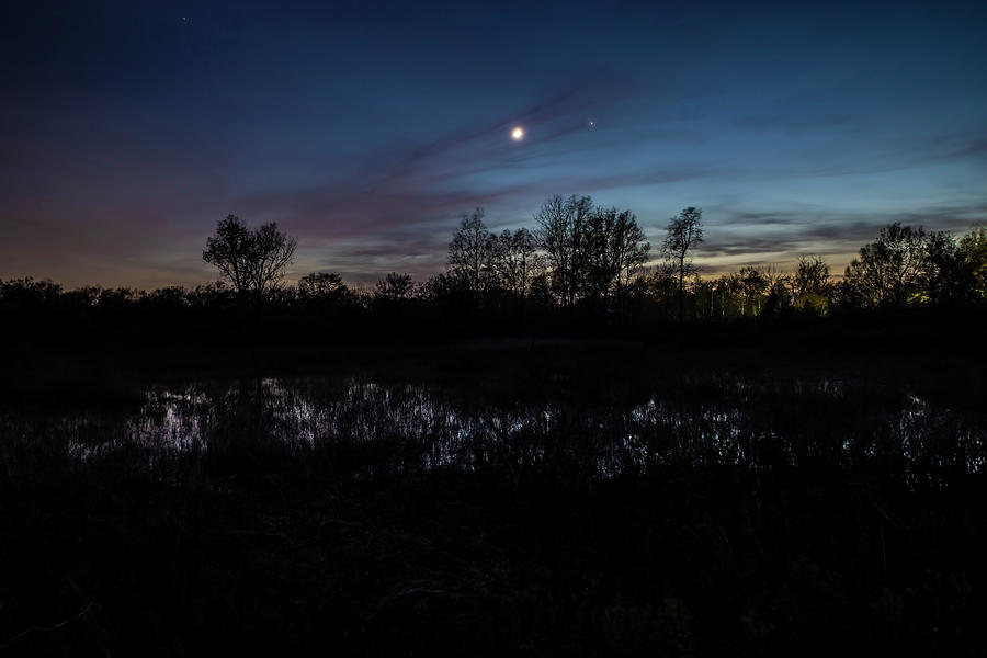 Swamp At Dusk With Moon Photograph by Sven Brogren