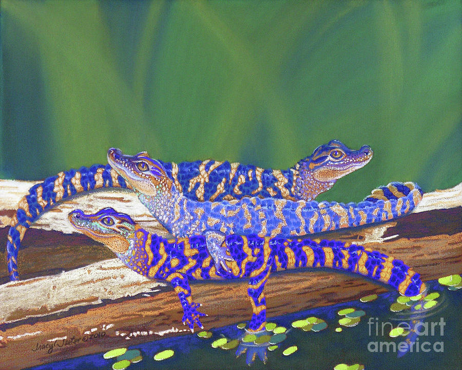 Swamp Babies Pastel by Tracy L Teeter 