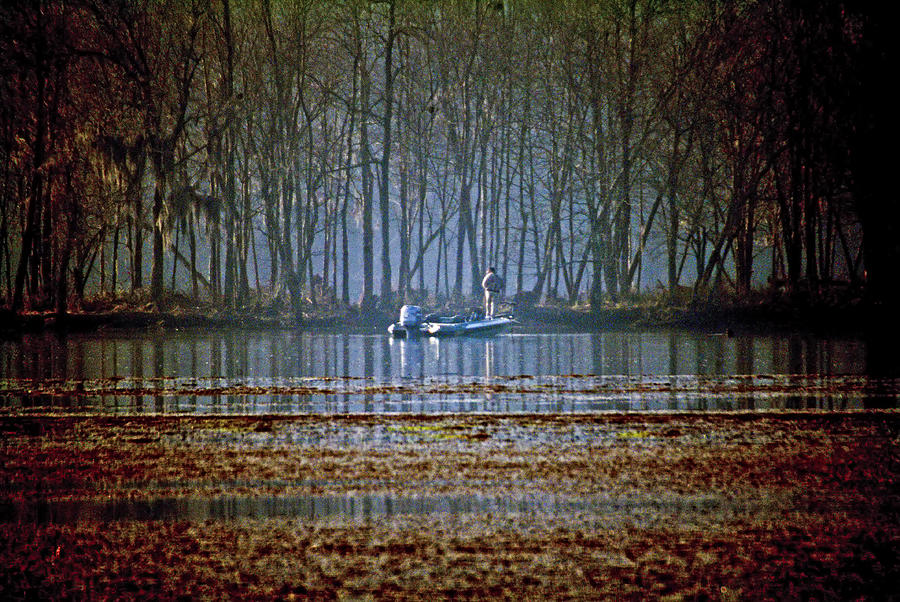 Swamp Fishing Photograph by Michael Whitaker