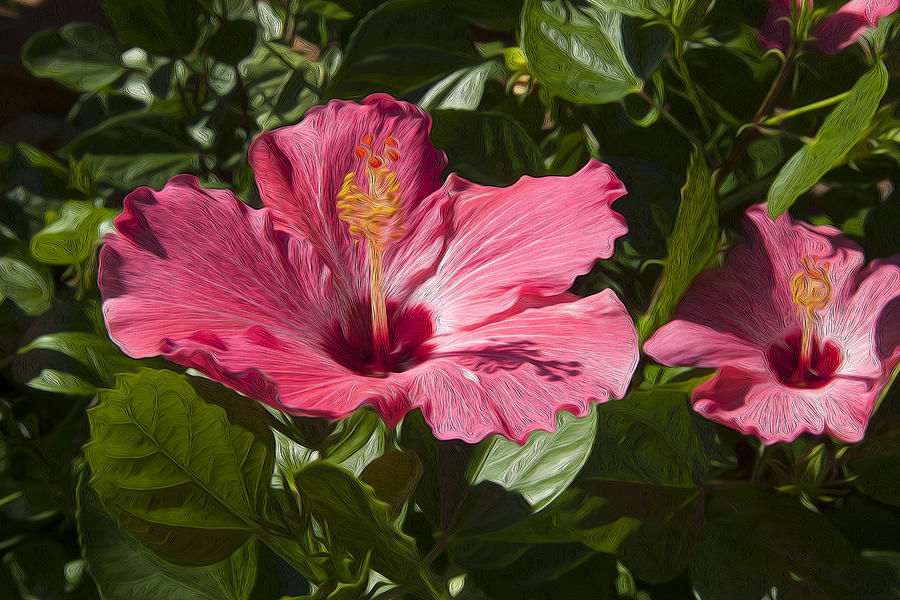 Swamp Flower Photograph by Mykel Davis