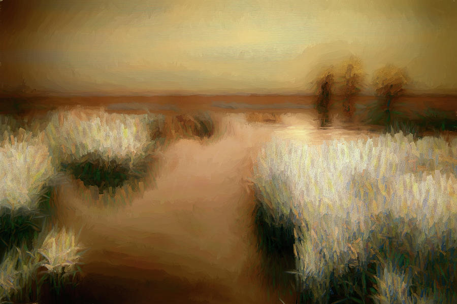 Mountain Painting - Swamp Grass and Cypress Trees AP by Dan Carmichael