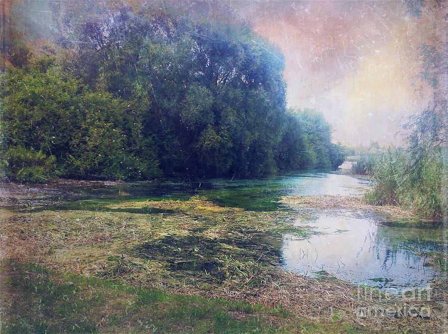 Spring Photograph - Swamp In Early Morning by Corina Daniela Obertas