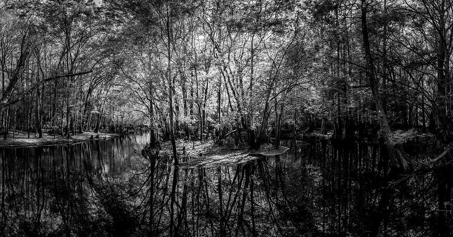 Swamp Island Photograph By Marvin Spates - Fine Art America