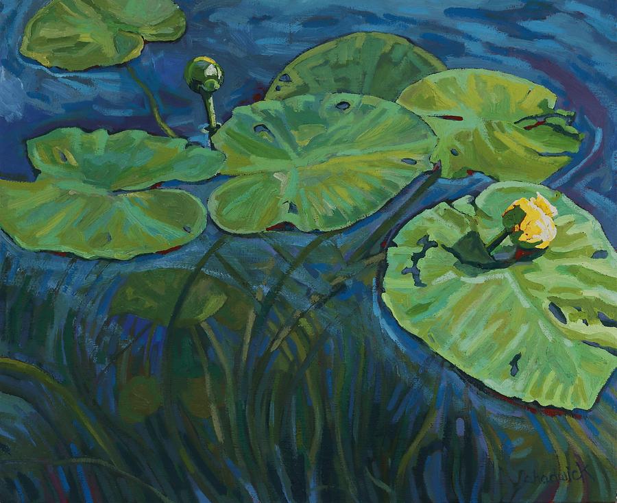 Swamp Lilies Painting by Phil Chadwick