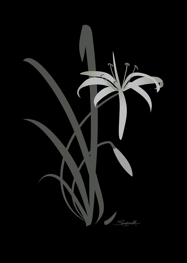 Swamp Lily Digital Art by M Spadecaller