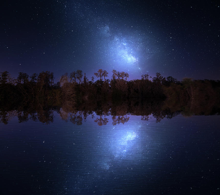 Swamp Sky Photograph by Mark Andrew Thomas