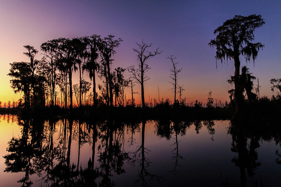 Swamp Sunset Photograph by Stefan Mazzola