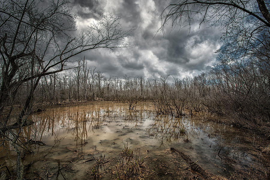 Swamped Photograph by Robert Fawcett