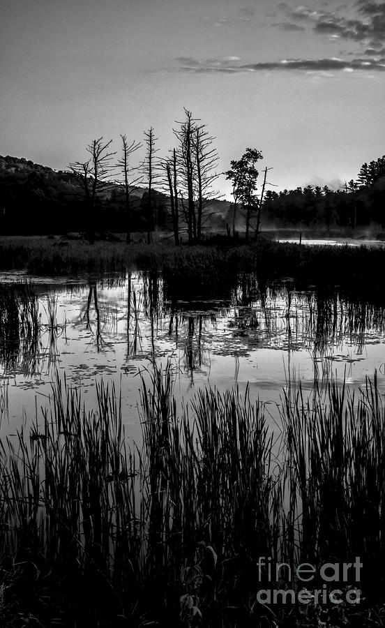 Swampland Sunrise 1 - BW Photograph by James Aiken