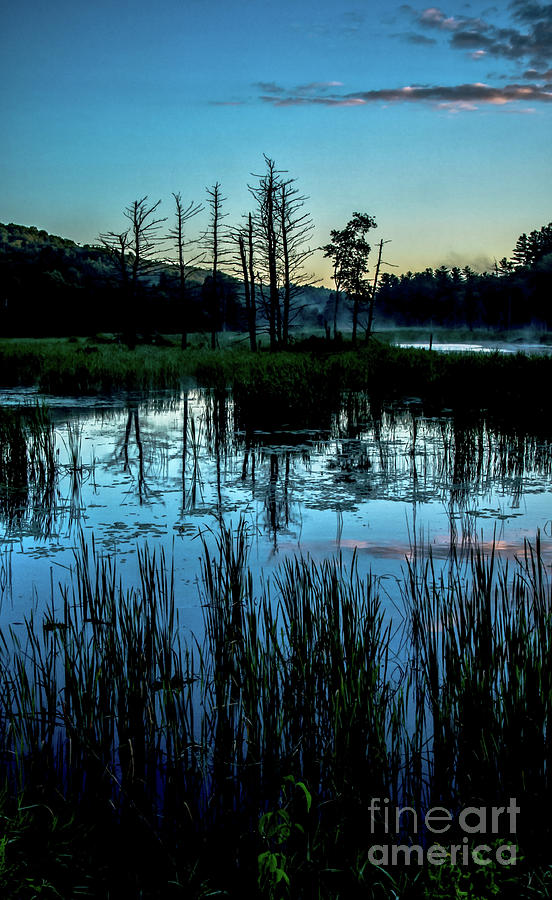 Swampland Sunrise 1 Photograph by James Aiken