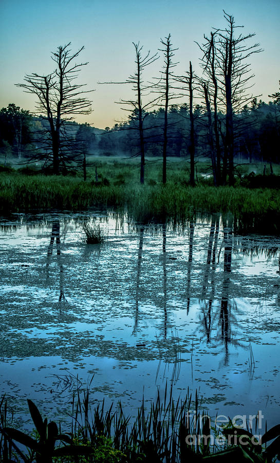 Swampland Sunrise 2 Photograph by James Aiken