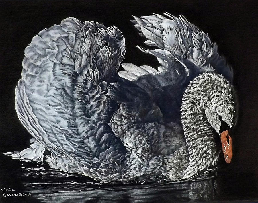 Swan #2 Painting by Linda Becker