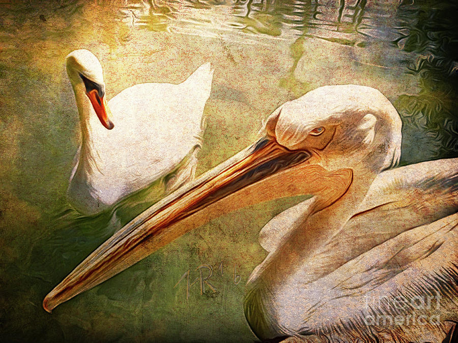 Swan and Pelican Painting by Horst Rosenberger